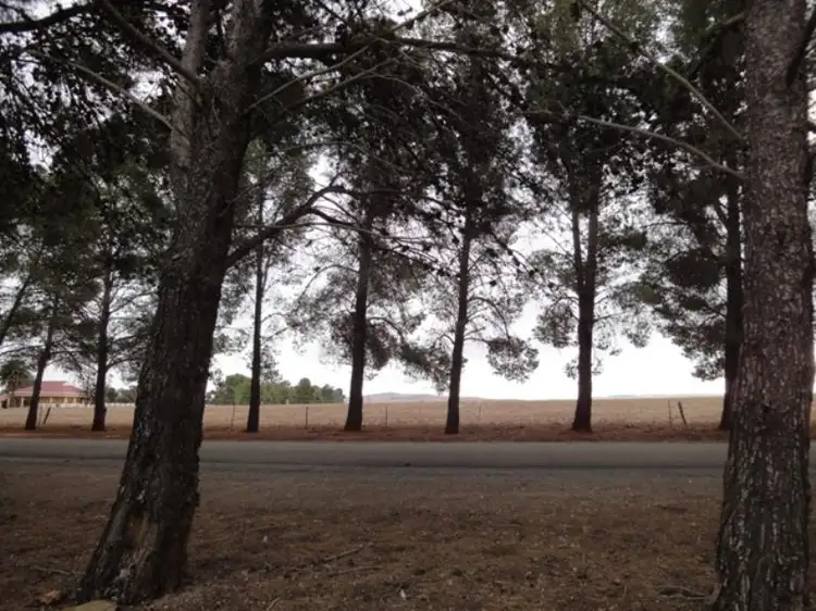 Sixth view of Homely land listing, Lots 7 and 8 Lincoln Avenue, Spalding SA 5454