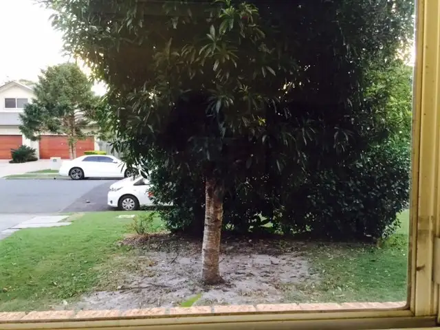 Seventh view of Homely apartment listing, 1/33 Middle Street, Labrador QLD 4215