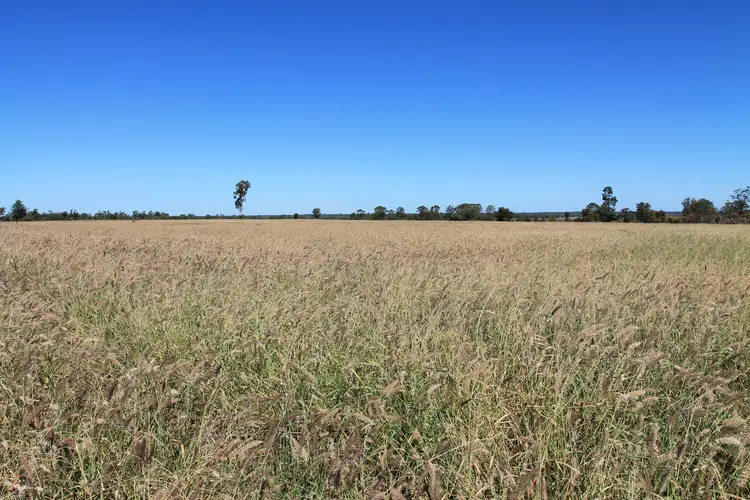 3054 Kyilla Road, Glenmorgan QLD 4423