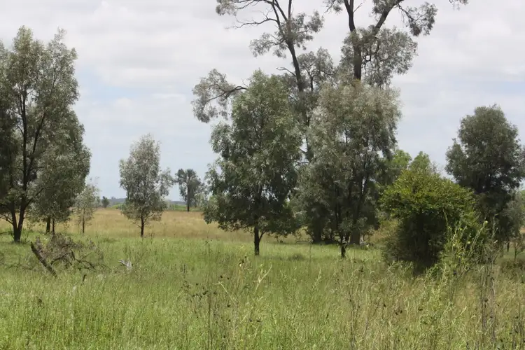Third view of Homely rural property listing, 112 Ezzy Road, Mundubbera QLD 4626