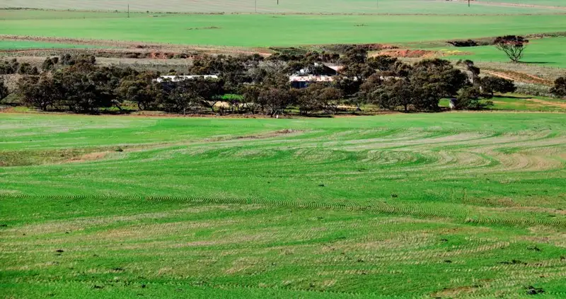 Main view of Homely rural property listing, "Hill View"- 2 Tivers Road, Kulpara SA 5552