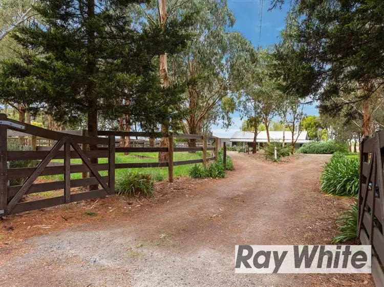 Main view of Homely rural property listing, 3405 Frankston Flinders Road, Point Leo VIC 3916
