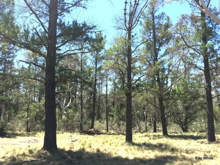 Second view of Homely rural property listing, 160 Nerriga Road, Braidwood NSW 2622