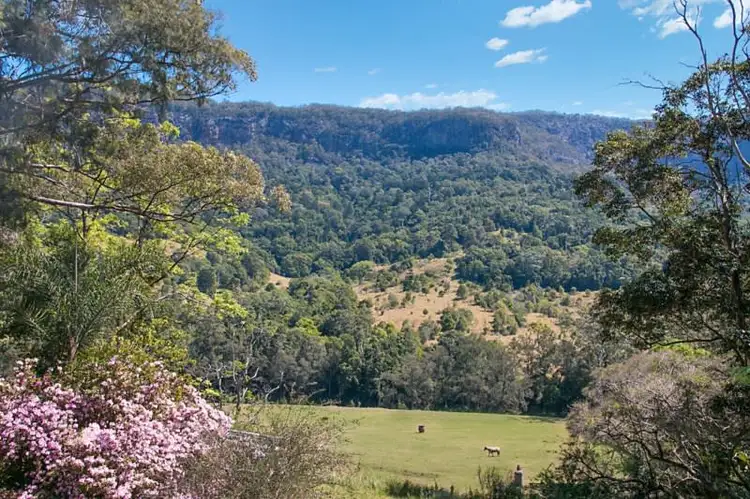2935 Nerang-Murwillumbah Road, Natural Bridge QLD 4211
