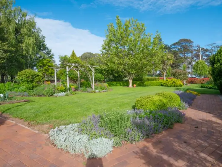 Seventh view of Homely rural property listing, Old Belmont196 Toms Gully Road, Black Mountain NSW 2365