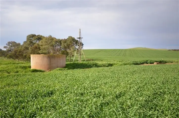 Third view of Homely rural property listing, "Oak Brae" 1197 Petherton Road, Booborowie SA 5417
