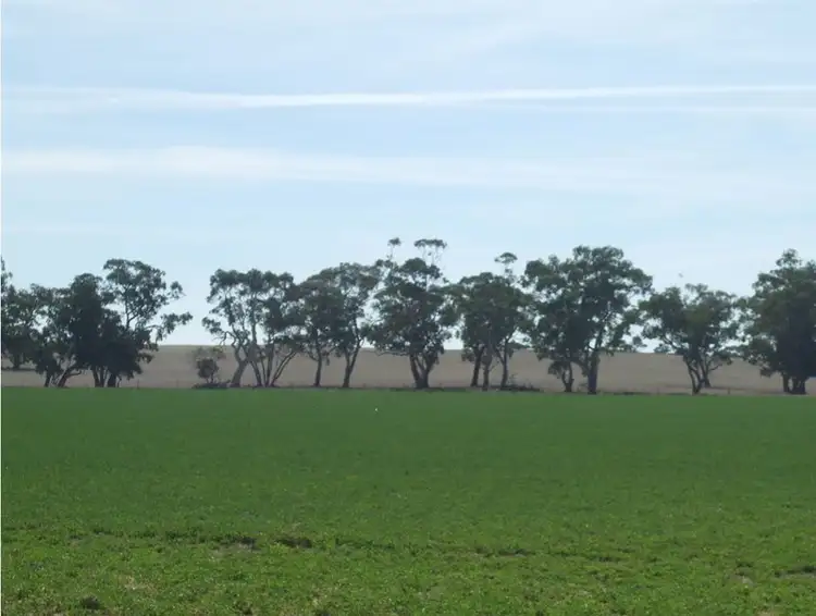 Second view of Homely rural property listing, 58 Curnow Road, Bordertown SA 5268