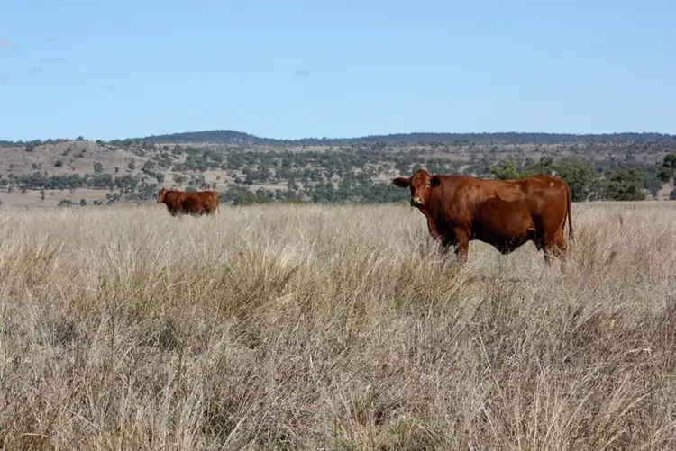 Fourth view of Homely rural property listing, Address available on request