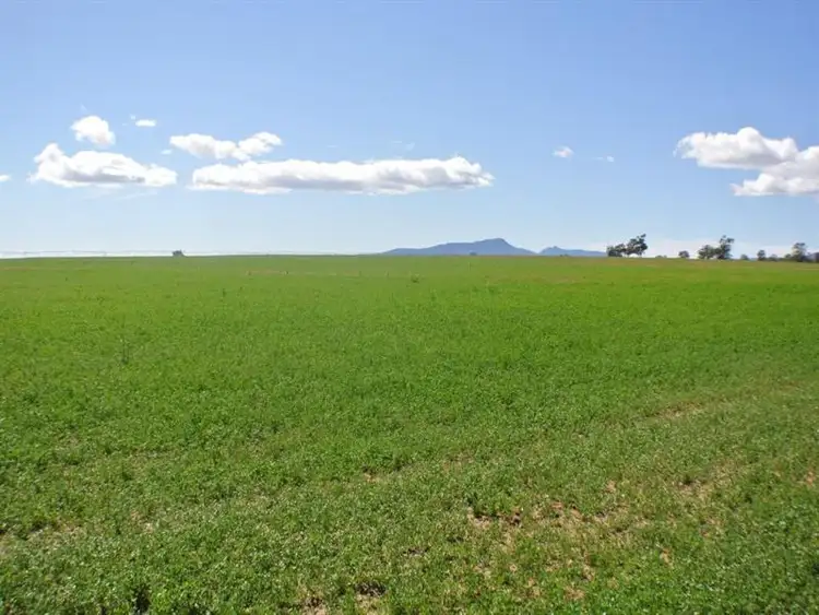 Seventh view of Homely rural property listing, "Mayfield" Narrabri, Narrabri NSW 2390