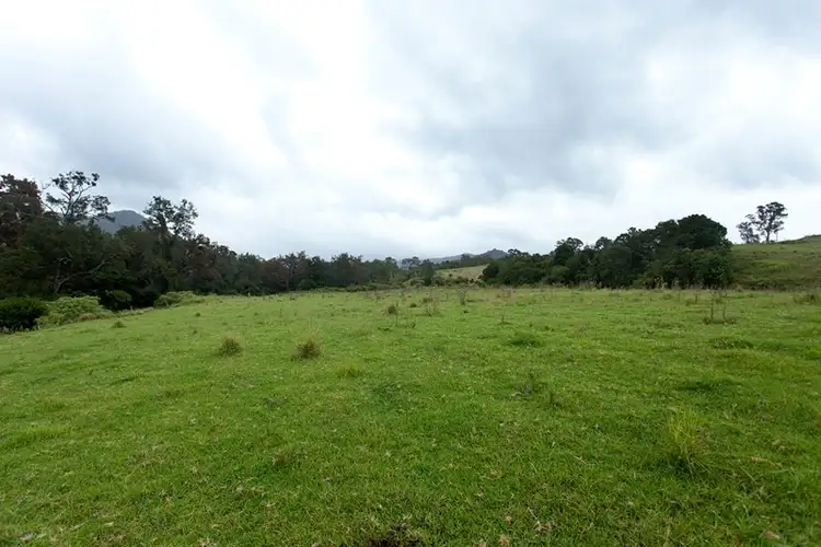 Sixth view of Homely rural property listing, 3041 Nowendoc Road, Wingham NSW 2429