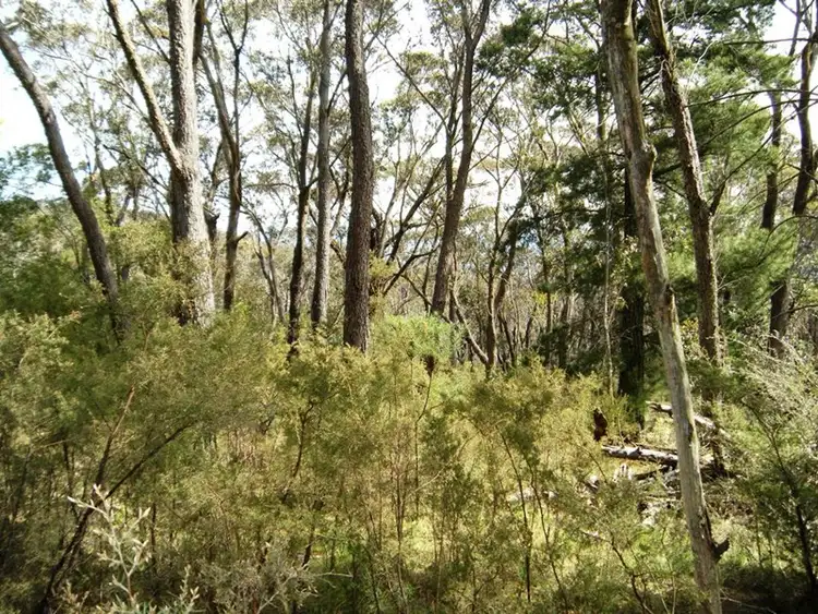 Second view of Homely land listing, 1 Delmonte Avenue, Medlow Bath NSW 2780