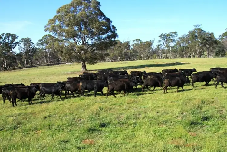 1735 'Park View' Old Armidale Road, Guyra NSW 2365
