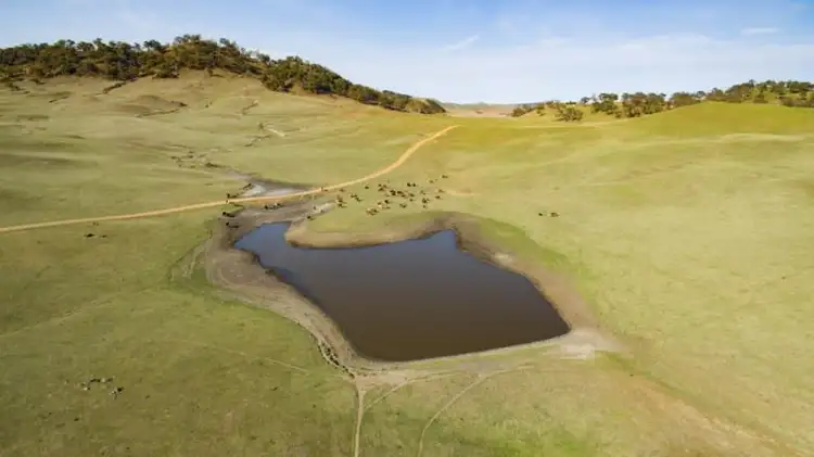 Sixth view of Homely rural property listing, 2219 Dog Rocks Road, Rockley NSW 2795