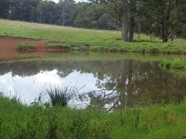 Third view of Homely rural property listing, 9408 Armidale Road, Tyringham NSW 2453
