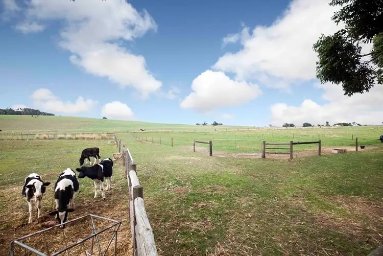 Fourth view of Homely rural property listing, 397 Spain Road, Suttontown SA 5291