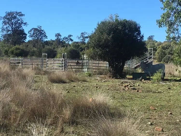 Sixth view of Homely rural property listing, 1 Wallingford Road, Irongate QLD 4356