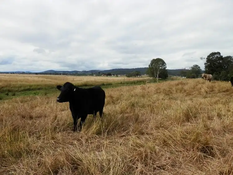 Second view of Homely land listing, 28 Woolshed Creek Road, Hatton Vale QLD 4341