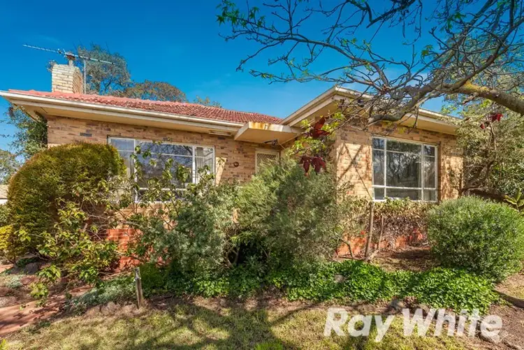 Second view of Homely house listing, 43 Karen Street, Box Hill North VIC 3129