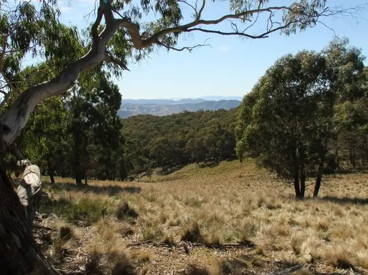 Third view of Homely rural property listing, Address available on request