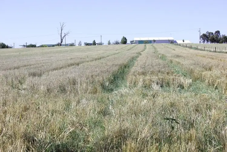 Seventh view of Homely rural property listing, 37 Tewkesbury Road, Temora NSW 2666