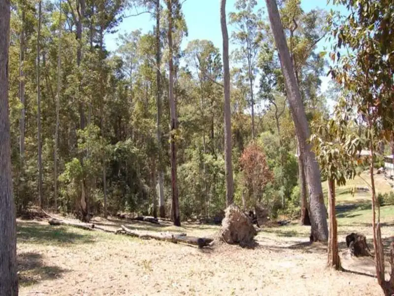 Main view of Homely land listing, 42 Whitewood Court, Lake Macdonald QLD 4563