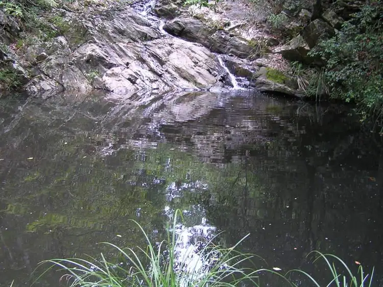 Fourth view of Homely rural property listing, Address available on request