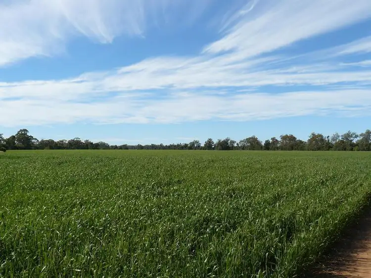 Second view of Homely rural property listing, " Wilga Park ", Pallamallawa NSW 2399