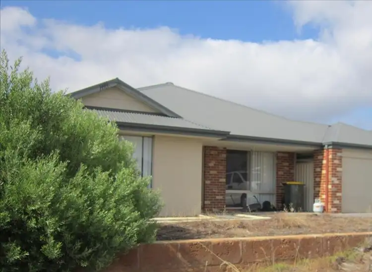 37 Bendora Turn, Ellenbrook WA 6069