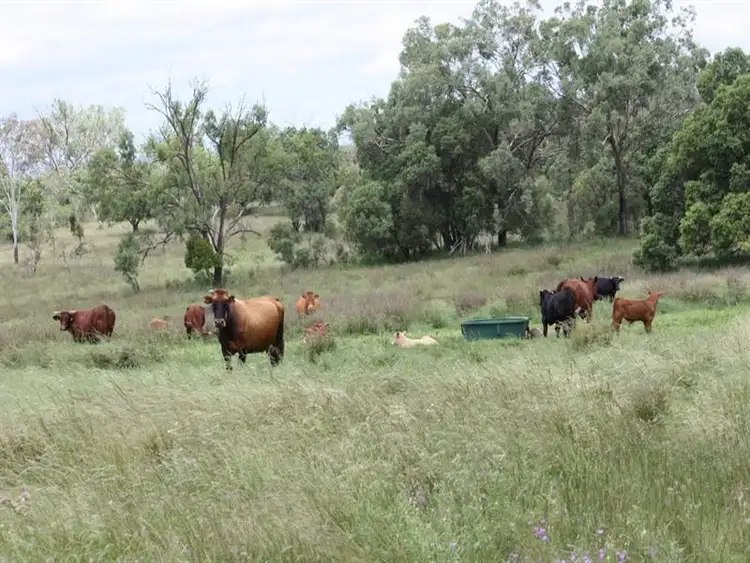Sixth view of Homely rural property listing, 79 Brookvale Park Road, Oakey QLD 4401