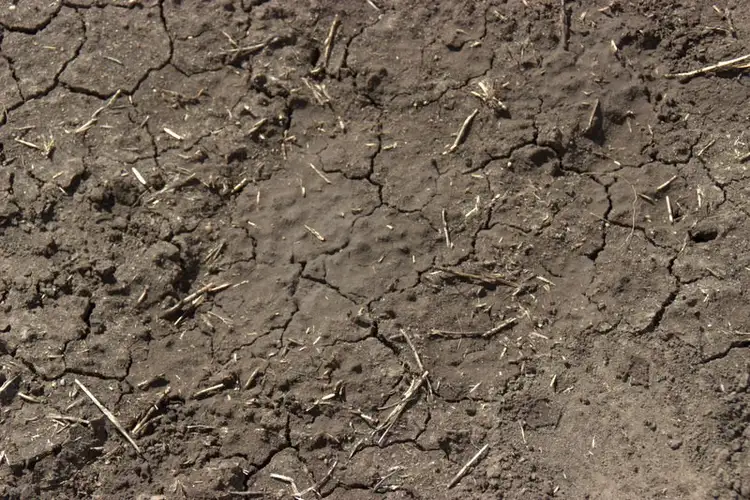 Sixth view of Homely rural property listing, .COOMA LEA CALADONIA Road, Baradine NSW 2396