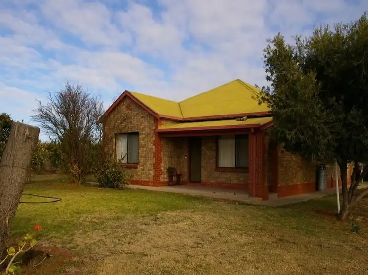 524 Government Road, Renmark SA 5341