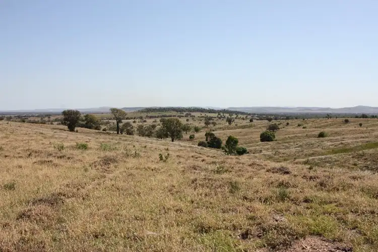 Sixth view of Homely rural property listing, 775 Drumburle Road, Thangool QLD 4716