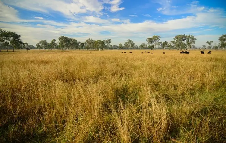 Third view of Homely rural property listing, 200 G Hines Road, Mutdapilly QLD 4307