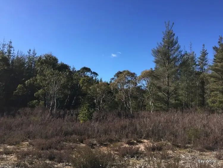 Second view of Homely rural property listing, 8 Tally Ho Road, Bombay NSW 2622