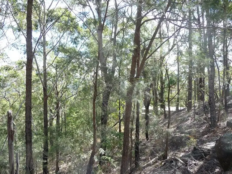 Second view of Homely land listing, 323 Mooloolah Road, Eudlo QLD 4554