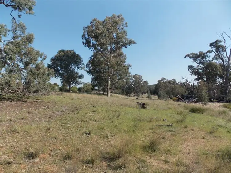 Fifth view of Homely rural property listing, 595 Bindogundra Road, Parkes NSW 2870