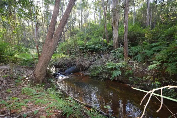 Second view of Homely rural property listing, 132 Mount Mulgowie Road, Buaraba QLD 4311