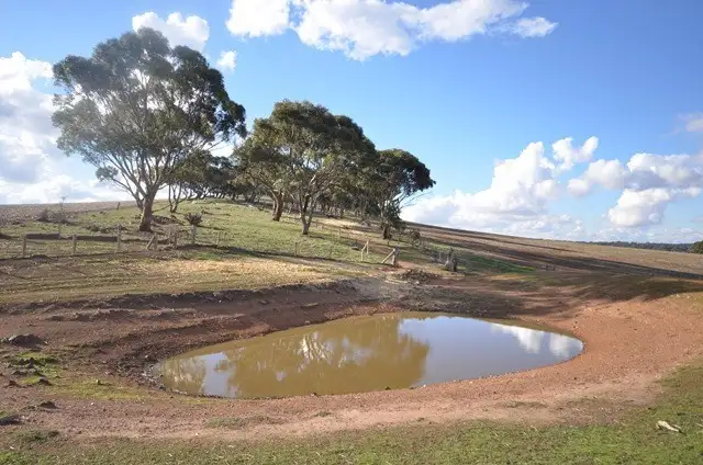 Seventh view of Homely rural property listing, "Huxley's" Curio Highway, Marrabel SA 5413