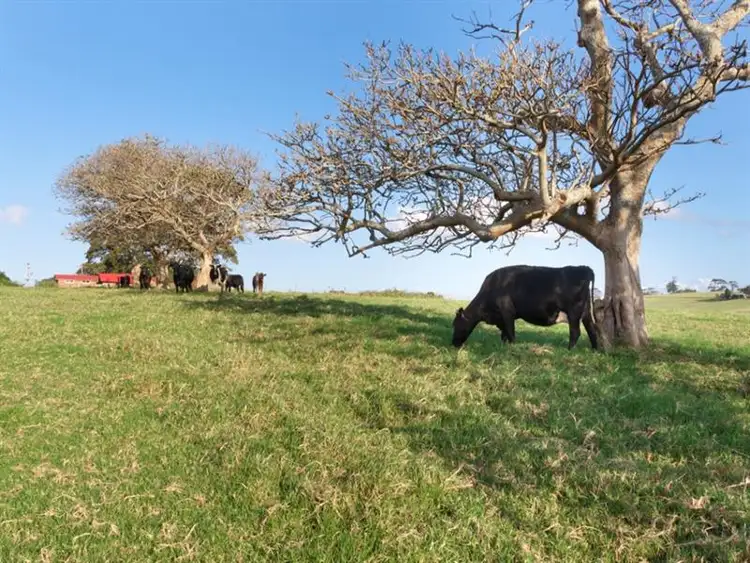 Second view of Homely rural property listing, 86 Campbell Street, Gerringong NSW 2534