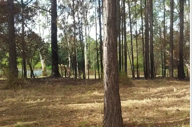 Sixth view of Homely house listing, 7 Logan Parade, Logan Reserve QLD 4133