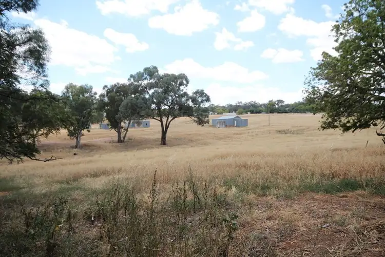 Third view of Homely rural property listing, 99 Stanley Park Road, Young NSW 2594
