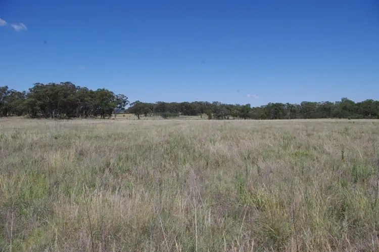 Main view of Homely rural property listing, 495 Mount Russell Road, Inverell NSW 2360