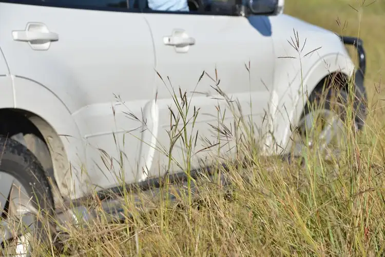 Sixth view of Homely rural property listing, 1746 Boonah-Rathdowney Road, Boonah QLD 4310