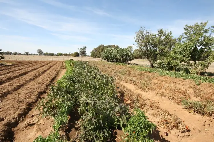 Third view of Homely rural property listing, 160 Mockler Road, Echuca West VIC 3564