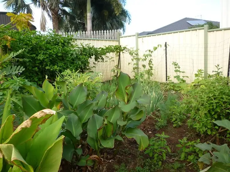 Fourth view of Homely house listing, 10 Poinciana Place, Gracemere QLD 4702