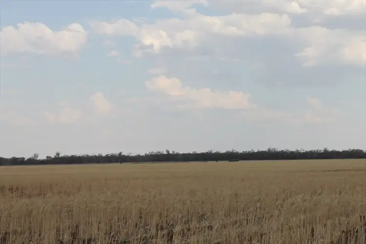 Sixth view of Homely rural property listing, . WYOLA, Meandarra QLD 4422