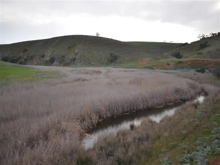 Seventh view of Homely rural property listing, Various Secs Windy Loop Road, Yacka SA 5470