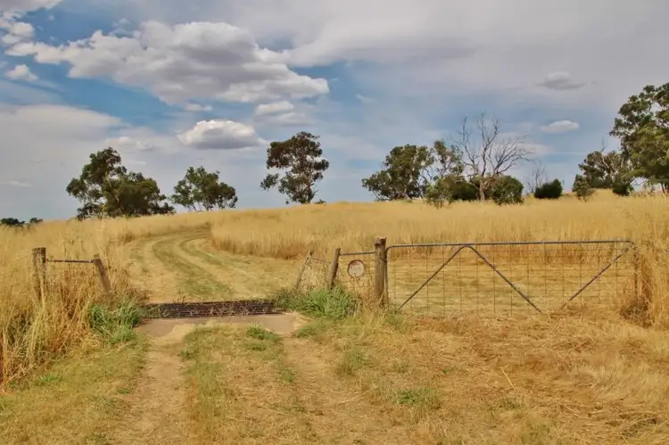 Second view of Homely house listing, 96 Campbells Road Maimuru Via, Young NSW 2594