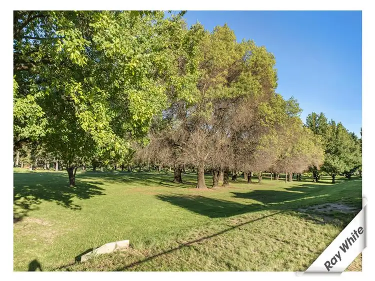 Second view of Homely house listing, 118/50 Ellenborough Street, Lyneham ACT 2602