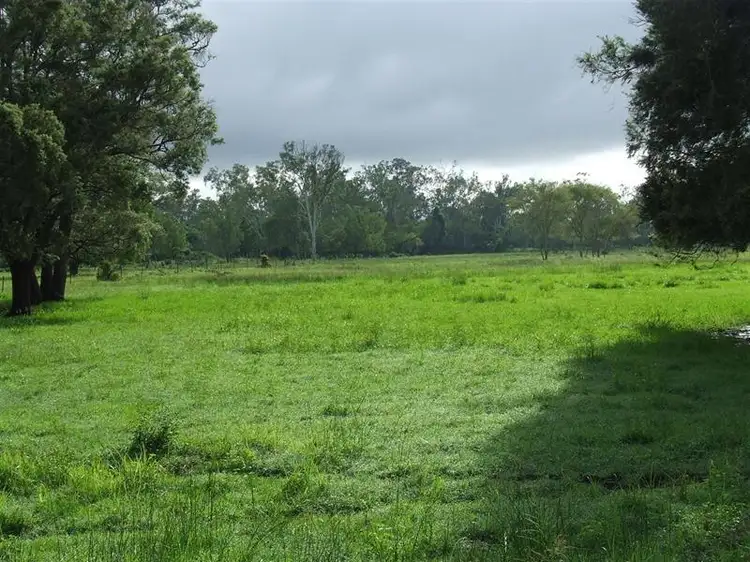 Fifth view of Homely rural property listing, 24 "Graceville" Andy Road, Morinish QLD 4702